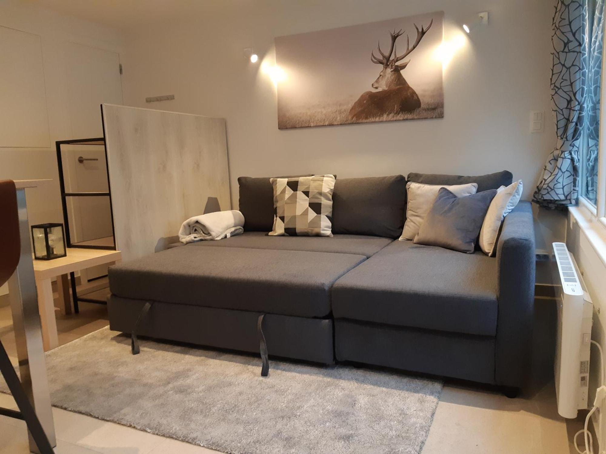 Terrasses De Malmedy F&L Triplex 214 Et Studio 320 Et 317 Et Studio Superieur 340 ห้อง รูปภาพ