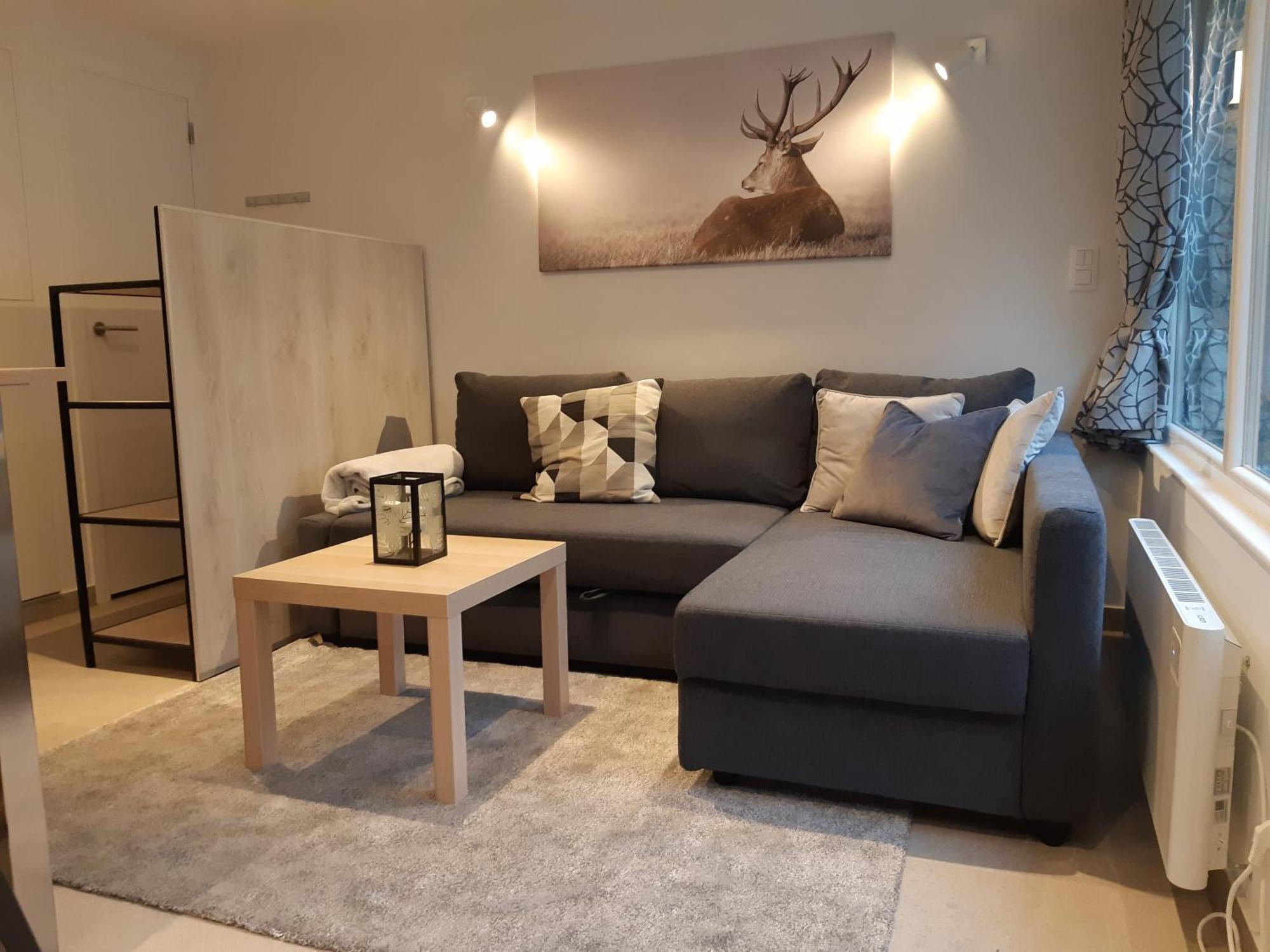 Terrasses De Malmedy F&L Triplex 214 Et Studio 320 Et 317 Et Studio Superieur 340 ห้อง รูปภาพ
